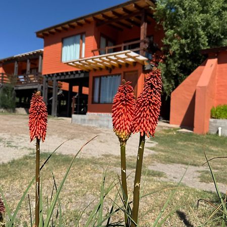Cabana El Churqui Tafí del Valle 外观 照片