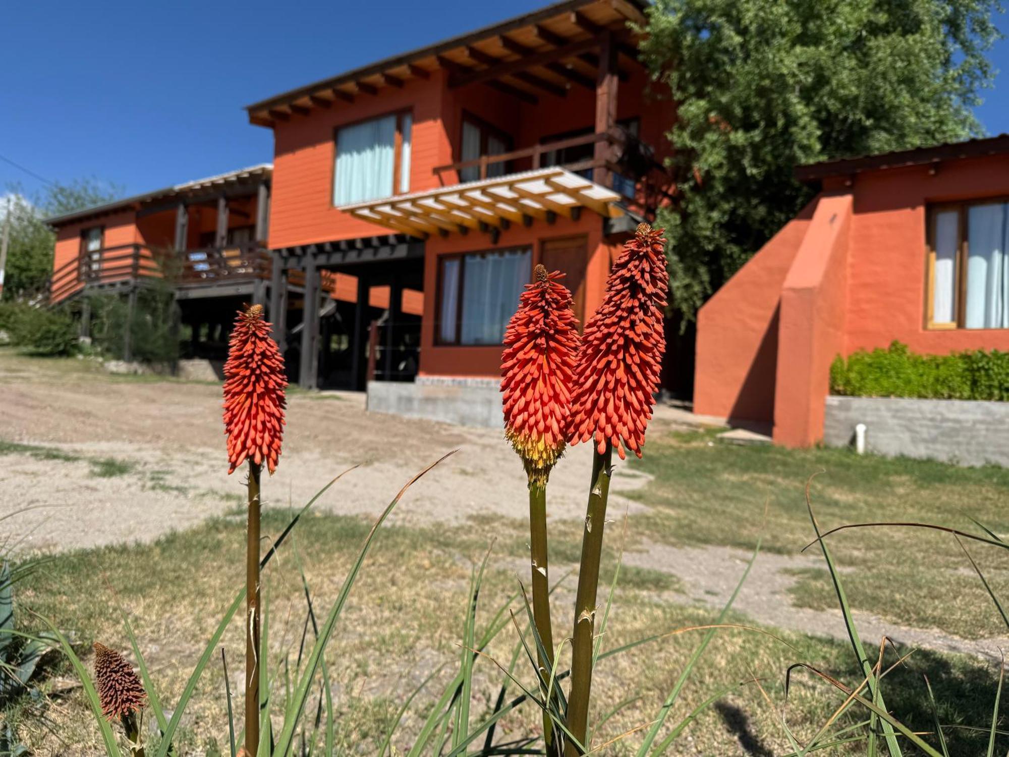 Cabana El Churqui Tafí del Valle 外观 照片